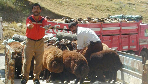 Son 6 Yldr Trakya