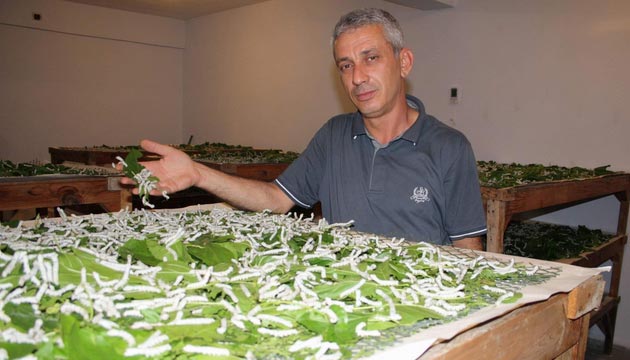 pee Zahmetli Yolculuk
