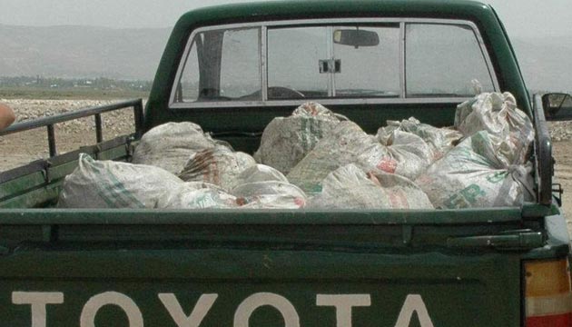 Van, Kaak Avlanm 15 Bin 350 Kilo Balk Ele Geirildi