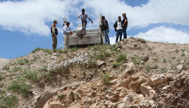 Muradiye, 120 Ton Kaak Balk Ele Geirildi