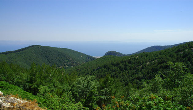 Akdeniz