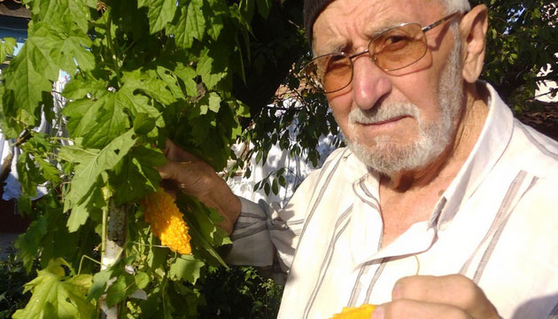 Yetitirdii Kudret Nar, ifa Datyor