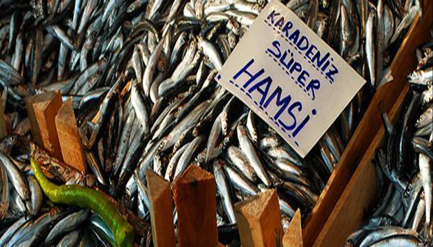 Hamsi severlere kt haber, hamsi, balklk, balk