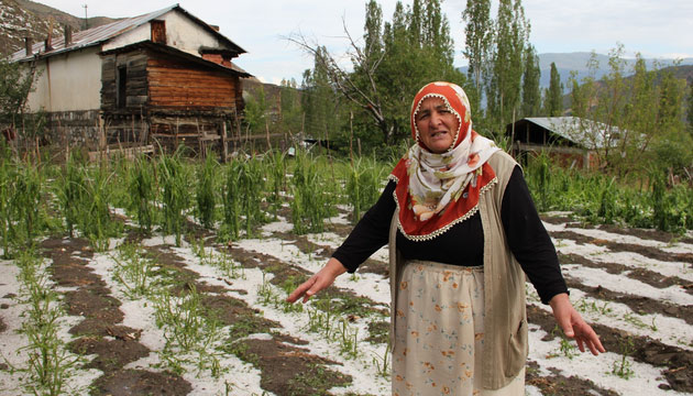 Dolu ve Kuraklk Tarm Arazilerini Vurdu