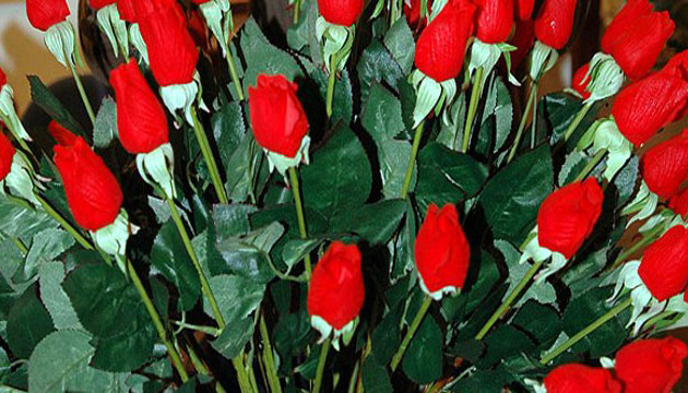 evik Flowers, Ekvator gl yetitirecek