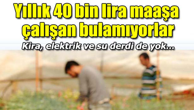 Kira yok, elektrik ve su bedava, yllk 40 bin lira cret ama alan yok