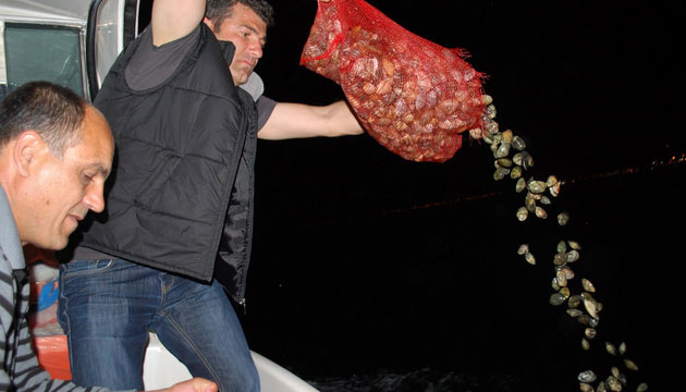Kaak Avlananlara zin Yok