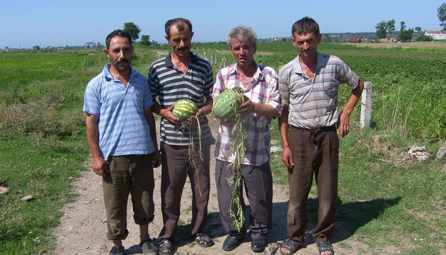 Yamur Bafra Ovasn Vurdu