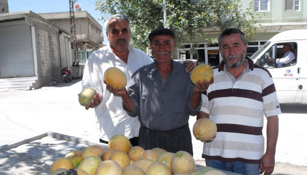 Yavuzeli iftisinden Organik Tarm Tavsiyesi
