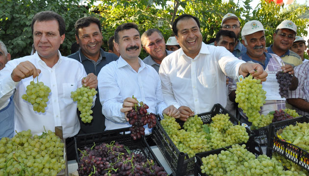 ifti, zm Hasat enlii