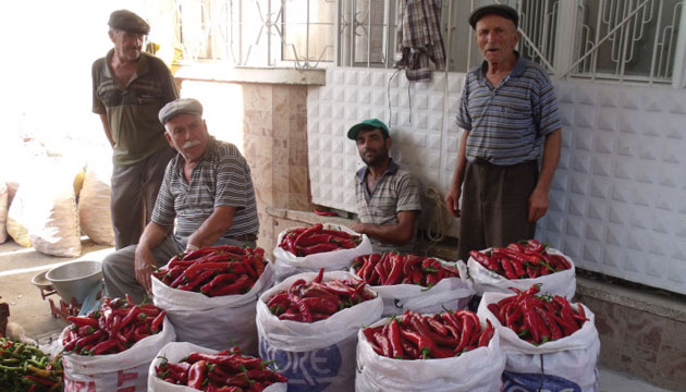 Krmz Biber Sezonu Ald