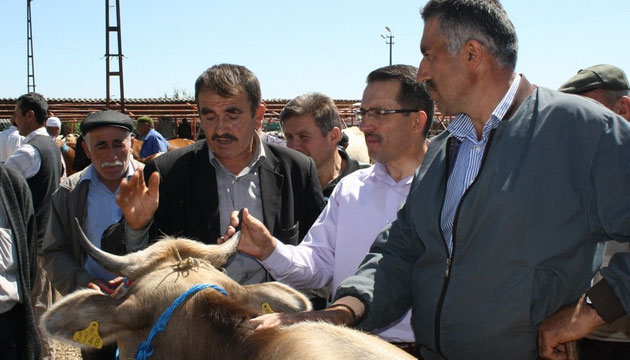 Osman Yaman, Hayvan Pazarn Ziyaret Etti