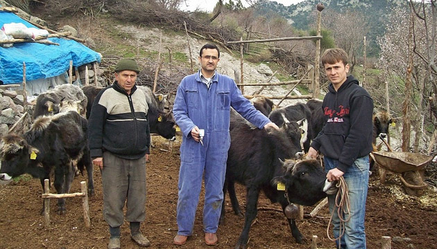 Burhaniyede Srlara A