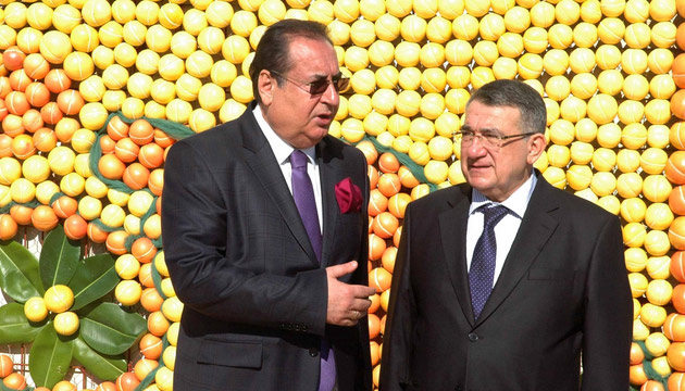 Mersin Narenciye Festivali