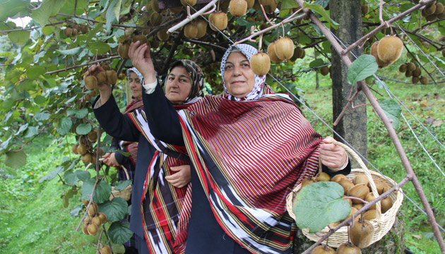 Rize