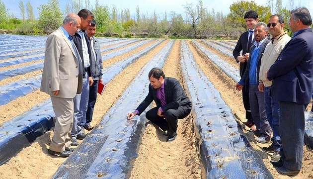 Nidede ilek retimi Yaygnlatrlyor