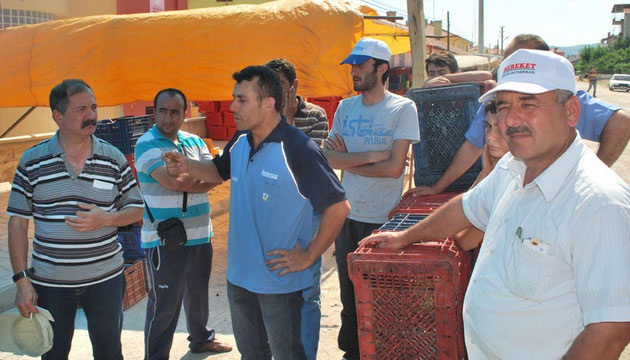 Vine Sezonu Sancl Balad