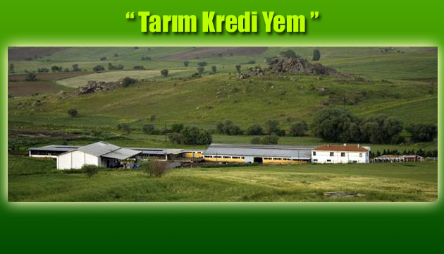 12 Yem Fabrikas Birleti, tarm kredi yem