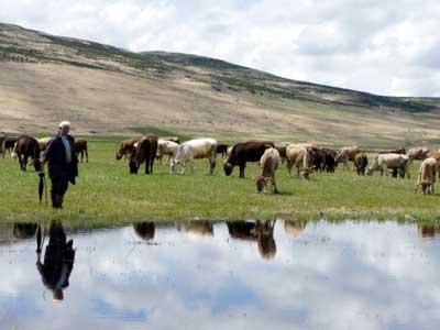 Hayvanclk sektr devlet desteiyle byyor 