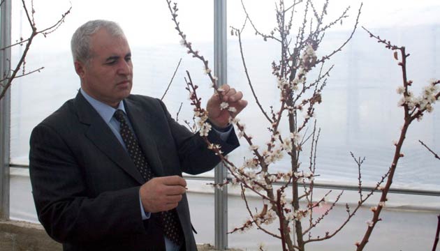Bayram Murat Asma, kays serada yetiecek