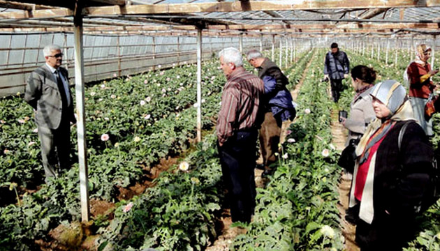 Dalamal reticiler zmirde iekilii Yerinde Grd