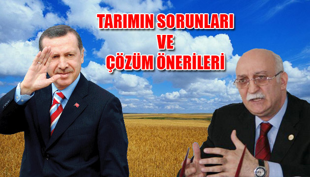 Babakan Erdoan