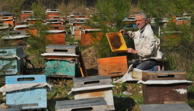 Arlar-a-kalmasn-diye-ehir-ehir-geziyorlar, arclk