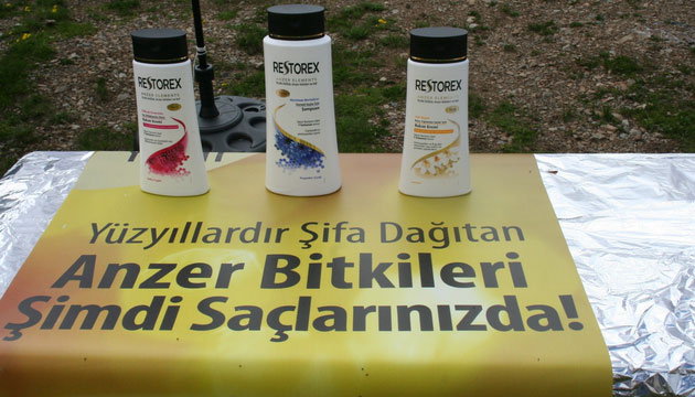 Anzer Yaylas
