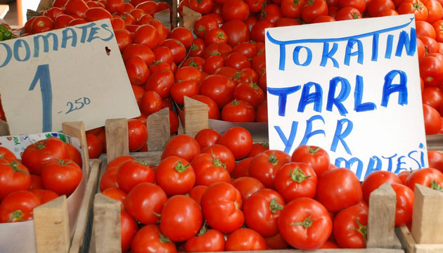 Tarlada 50 Kuru, Markette 1 Lira, DOMATES