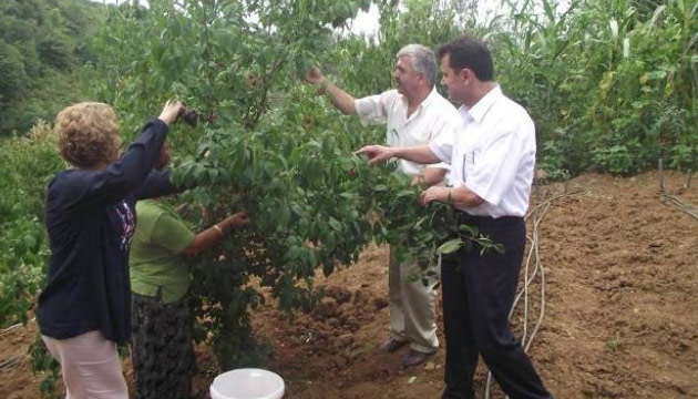 Karadeniz Blgesi