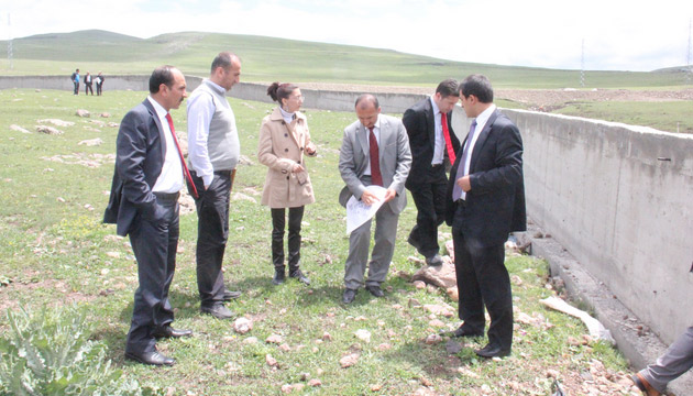 Hayvan Pazar naat Balyor