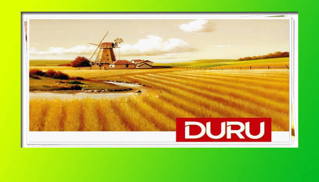 Duru, Bulguru Dnyaya Tantyor !  