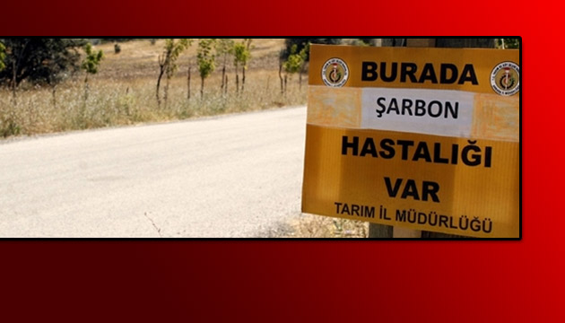 Edirne