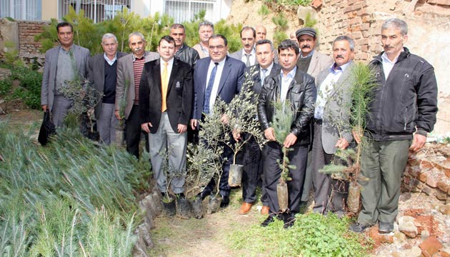 Nazillinin 40 Kyne 16 Bin Fidan Datld