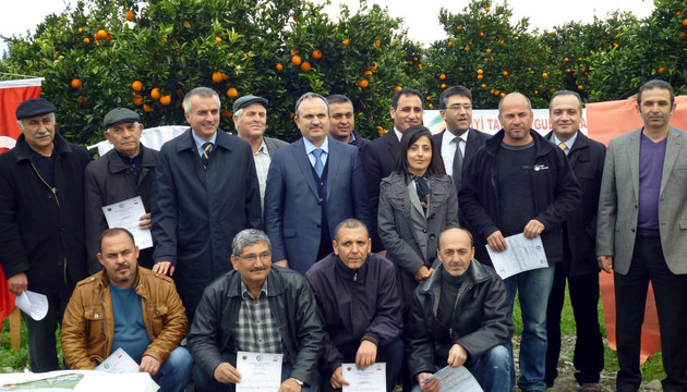 Kyceiz Portakal Artk Sertifikal