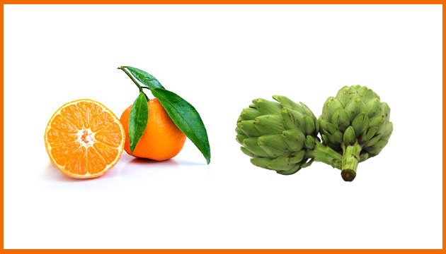 Mandalina ve Enginardan Reel ve Konserve Yapacak Tesis Ald