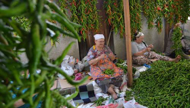 Ciercilerin ACI mesaisi balad