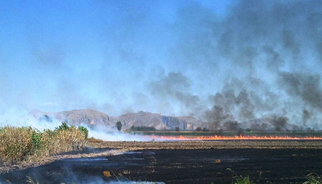 Anz Yakarak Topran Bereketini Yok Etmeyin
