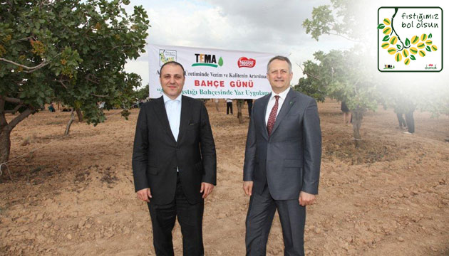 Nestl DAMAK, Fstmz Bol Olsun Projesi, Altn Pusula, tema
