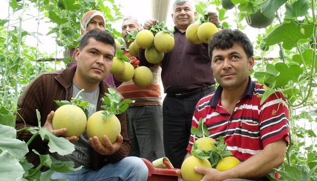 Kavun Hasadna Baland, Mersin, Silifke, Atayurt