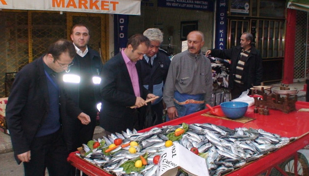 lkadm, Balk, Denetim, inekop