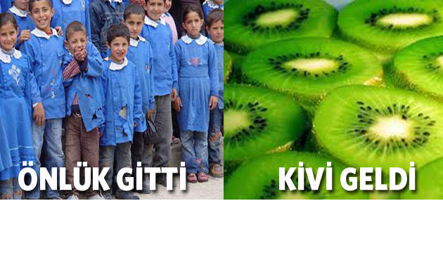 nlk gitti, kivi geldi