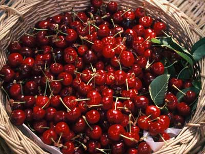 Kirazda ilk rn sevindirdi, hracatlk zd