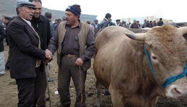 KURBAN Adana