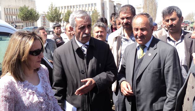 iftiye Patates Tohumu Destei