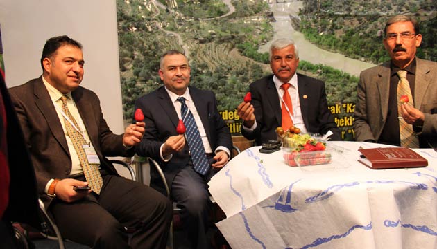 ilek Ve Yer Kiraz lgi Gryor