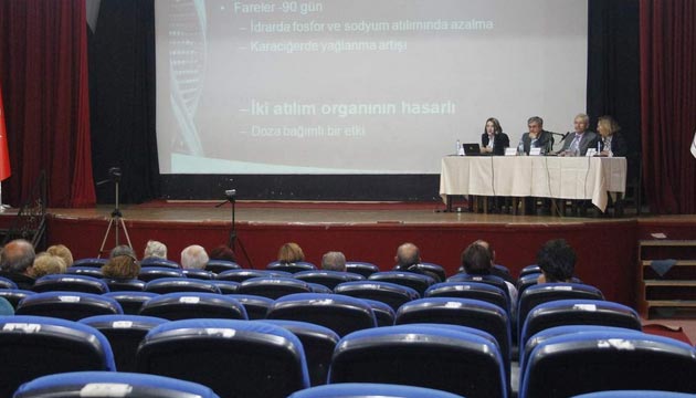Bo Koltuklara Gdolu rnler Paneli