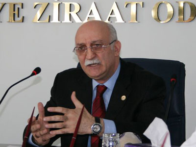emsi Bayraktar