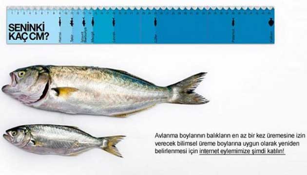 seninki ka santim Lferler iin kk, bakan iin byk adm