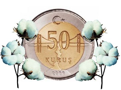 pamuk elli kuru